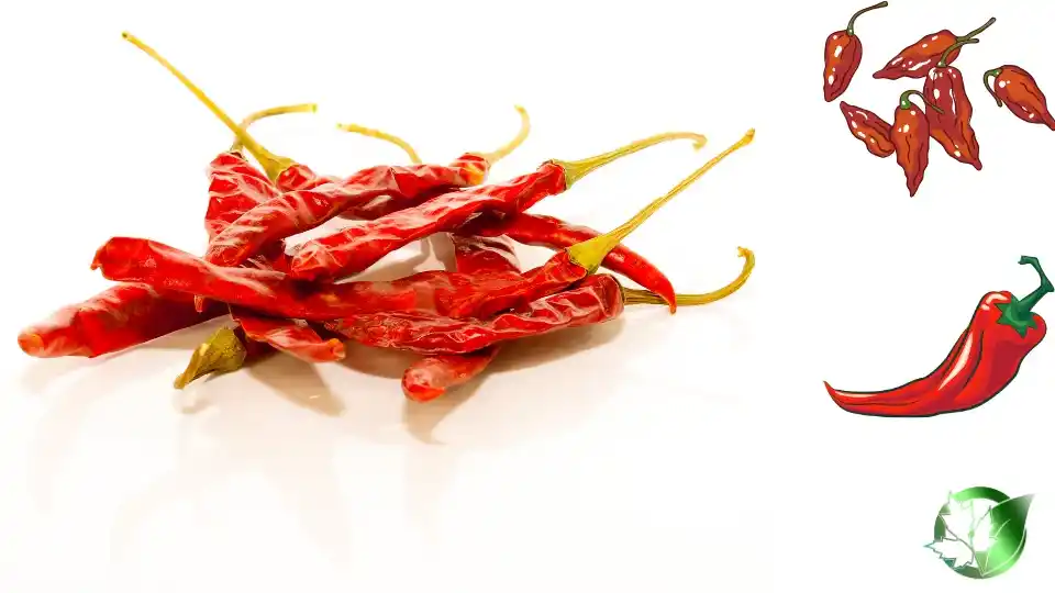 Wholesale packaging for Dried Red Chili Peppers can be planned for consumer retail, food-service operations, private-label, or manufacturing distribution.
